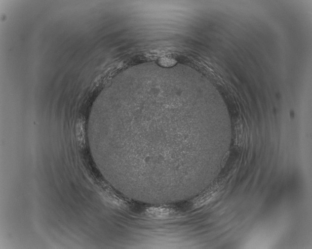 X0000067900699200604201335