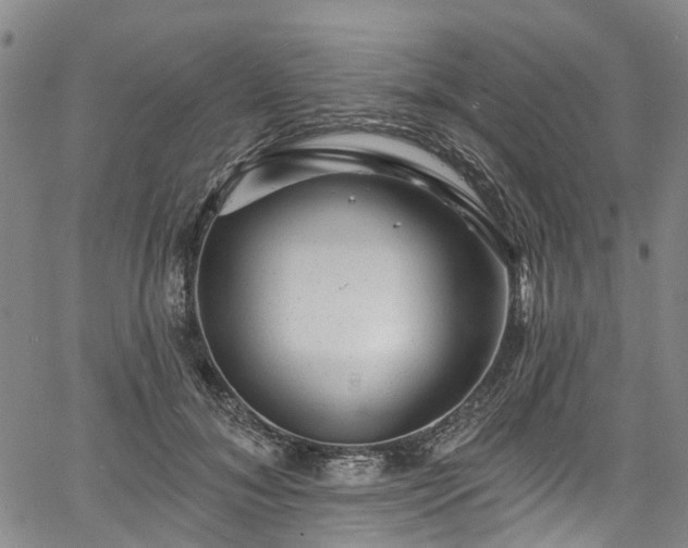 X0000067900700200604201335