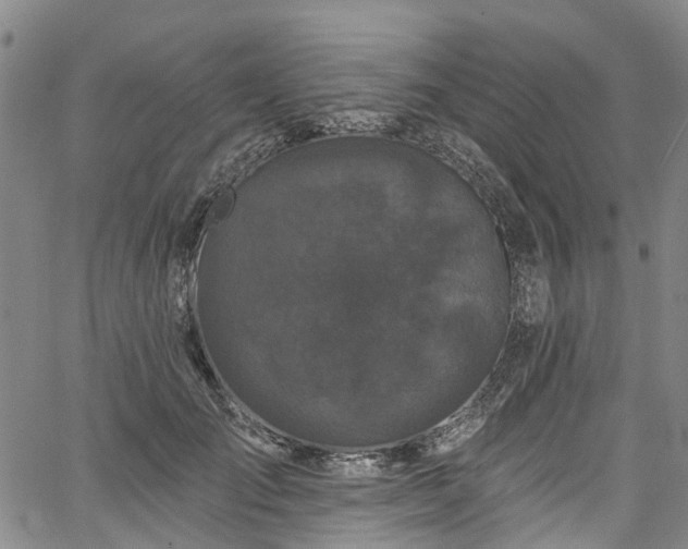 X0000067900701200604201335