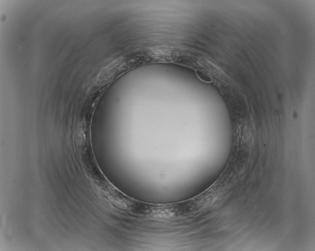 X0000067900702200604201335