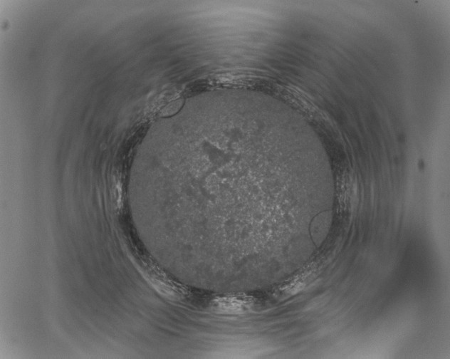 X0000067900703200604201335