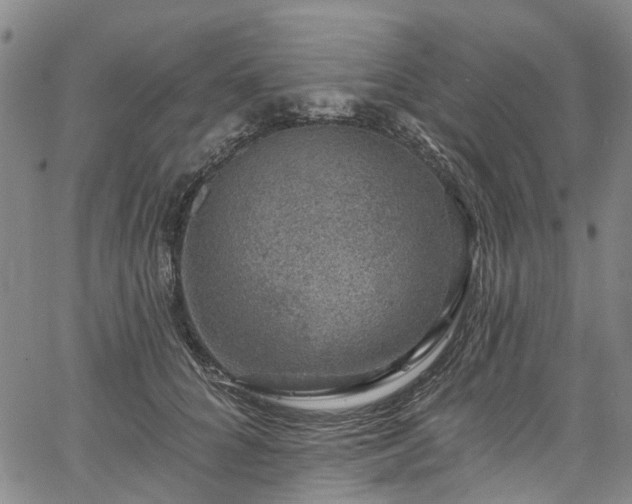 X0000067900704200604201335