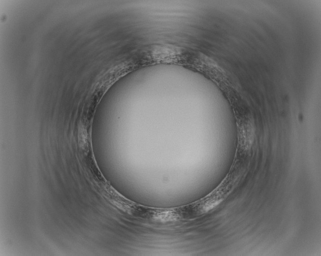 X0000067900705200604201335