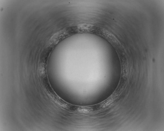 X0000067900706200604201335