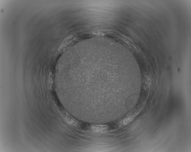 X0000067900707200604201335