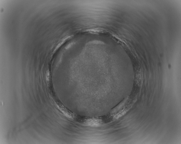 X0000067900708200604201335