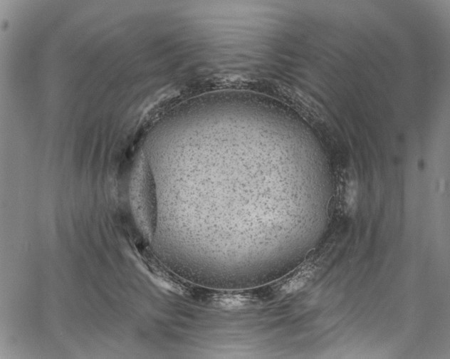 X0000067900710200604201335