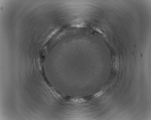 X0000067900712200604201335