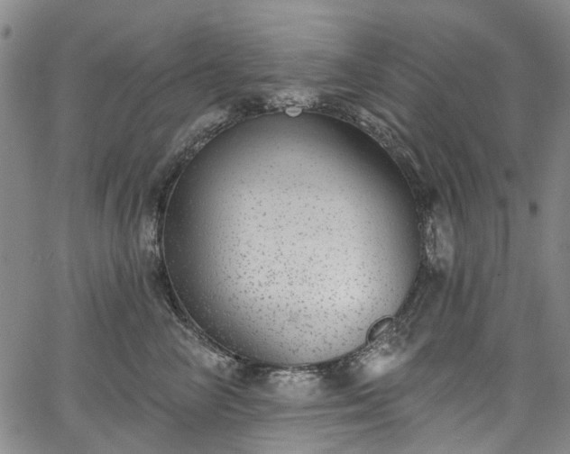 X0000067900714200604201335