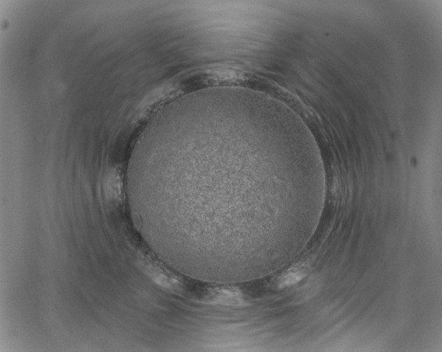 X0000067900715200604201335