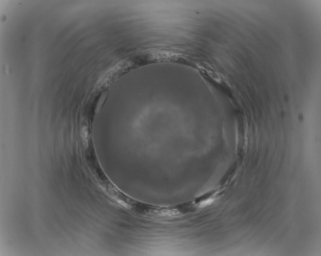 X0000067900716200604201335