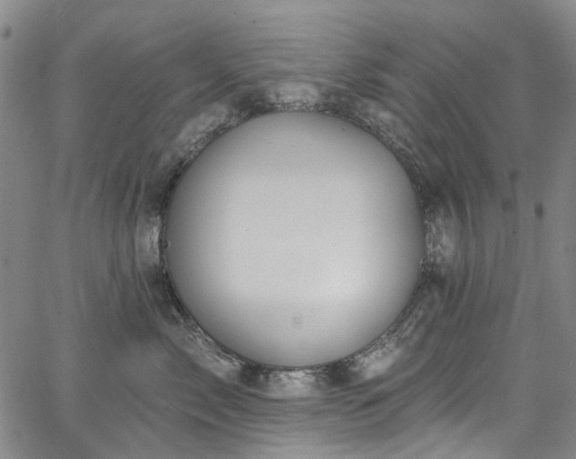 X0000067900717200604201335