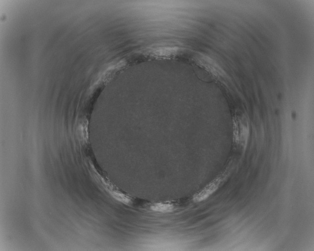 X0000067900718200604201335