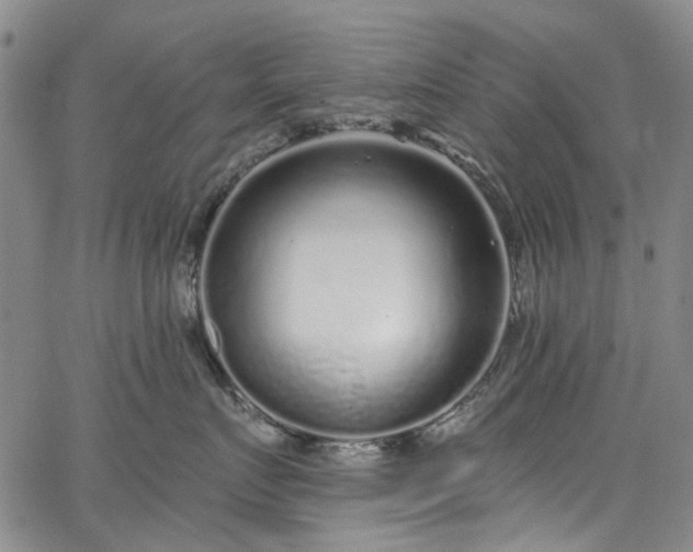 X0000067900719200604201335