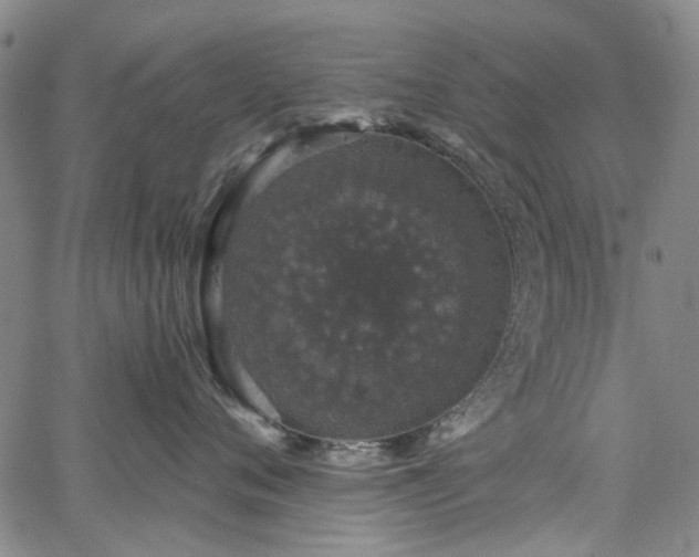 X0000067900720200604201335