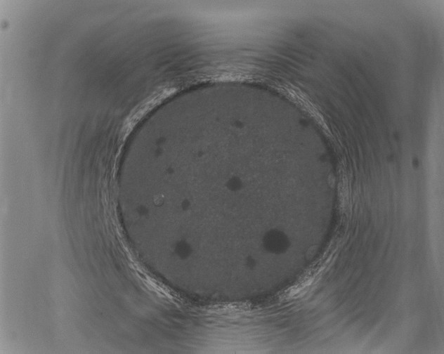 X0000067900721200604201334