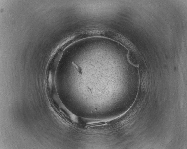 X0000067900722200604201334