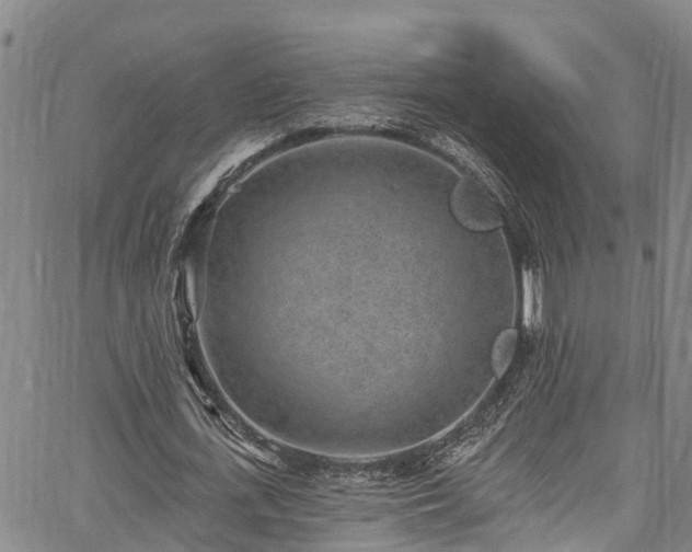 X0000067900723200604201334