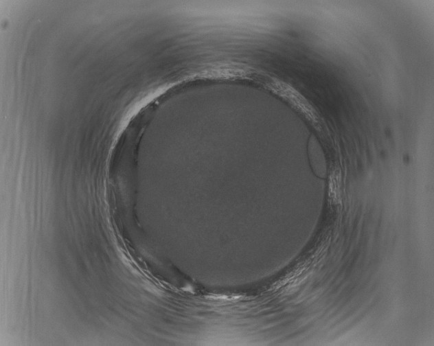 X0000067900724200604201334