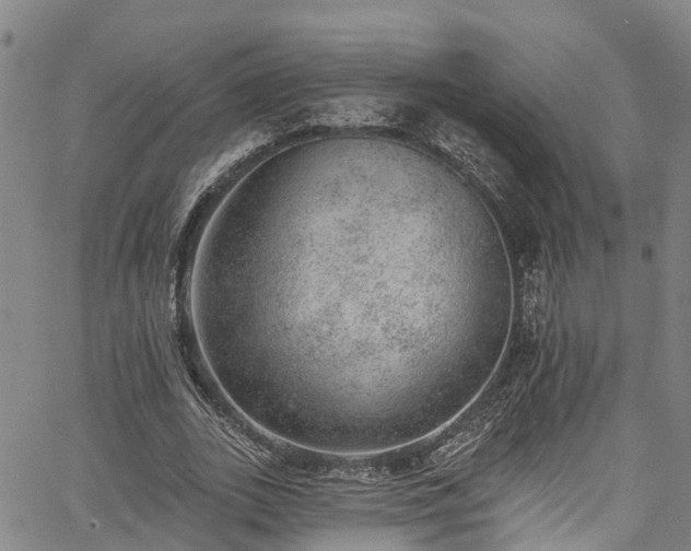 X0000067900727200604201334