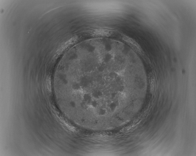 X0000067900729200604201334