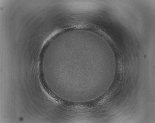 X0000067900730200604201334