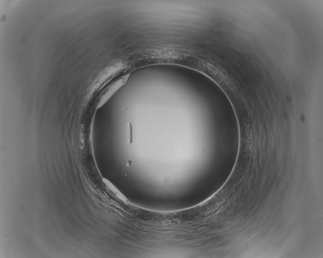 X0000067900731200604201334