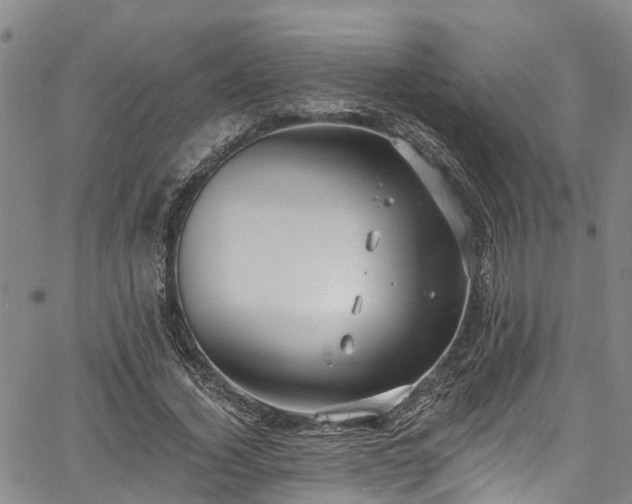 X0000067900732200604201334