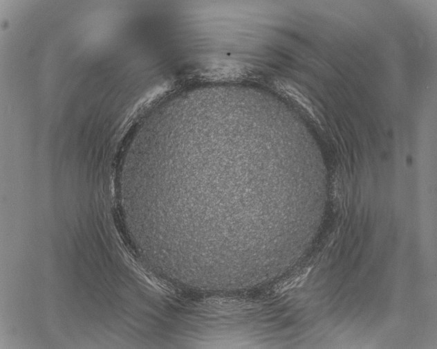 X0000067900733200604201334