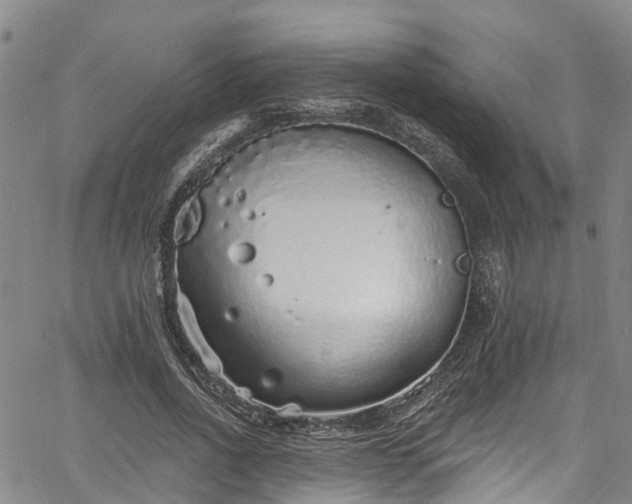 X0000067900734200604201334