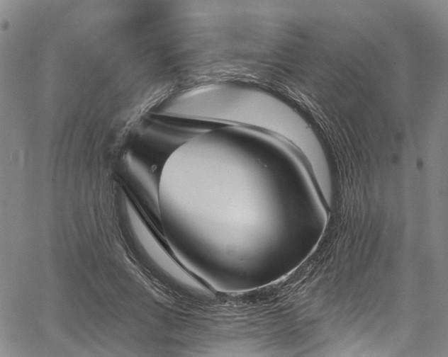 X0000067900735200604201334