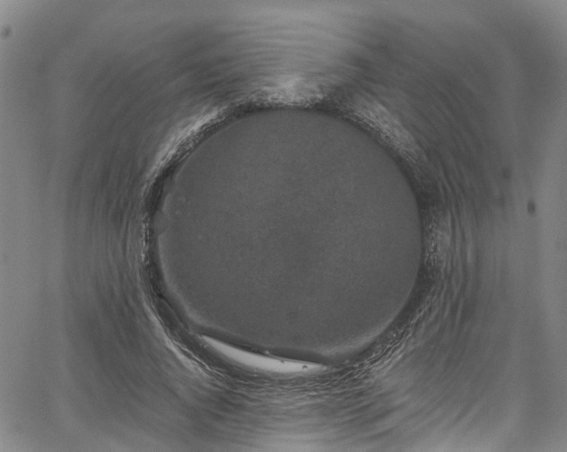 X0000067900736200604201334