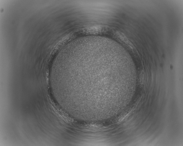 X0000067900737200604201334