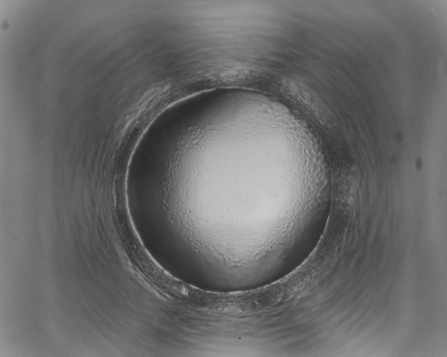 X0000067900738200604201334