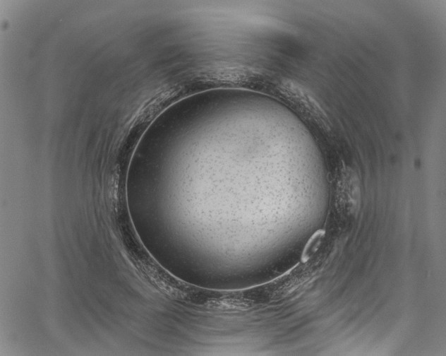 X0000067900739200604201334