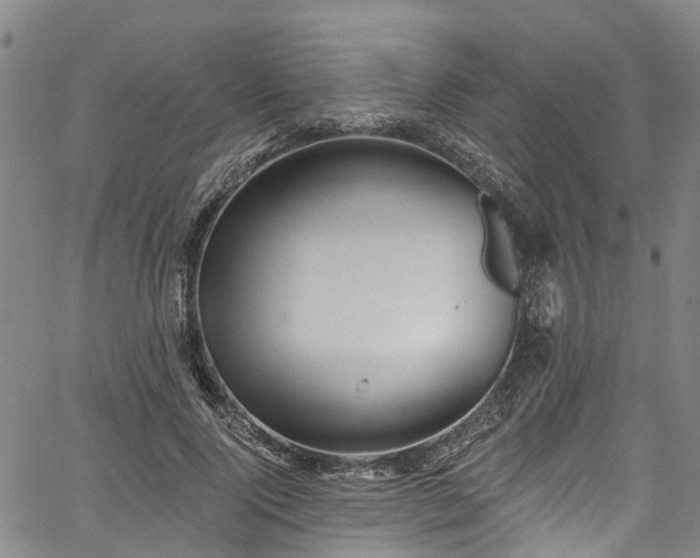 X0000067900740200604201334