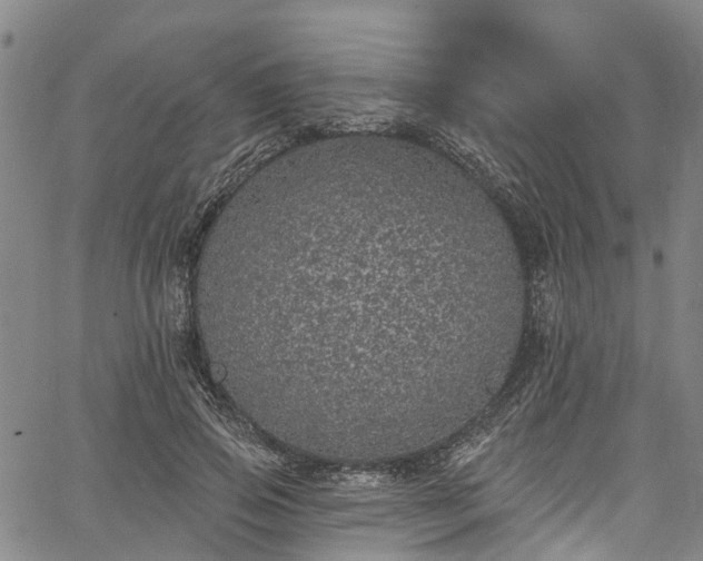 X0000067900741200604201334