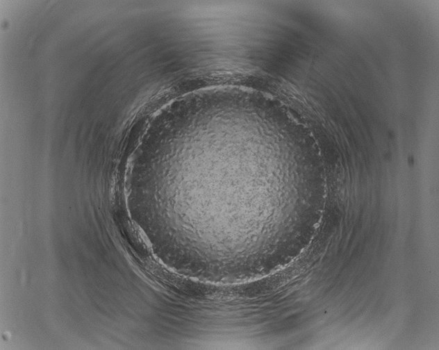 X0000067900742200604201334