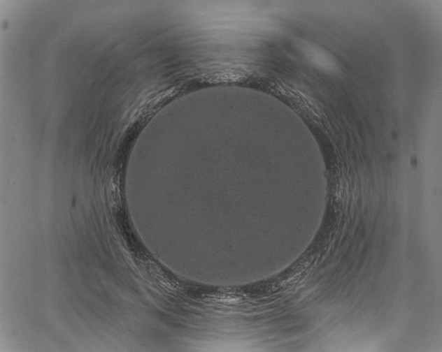 X0000067900743200604201334