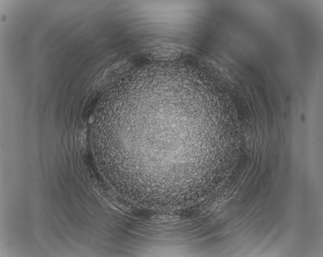 X0000067900745200604201334