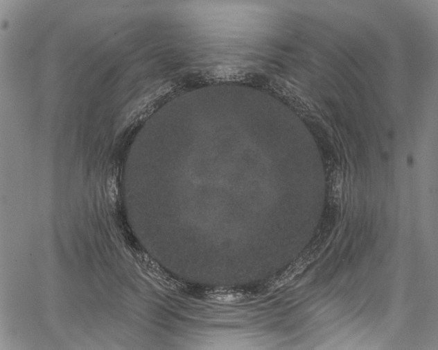 X0000067900746200604201334