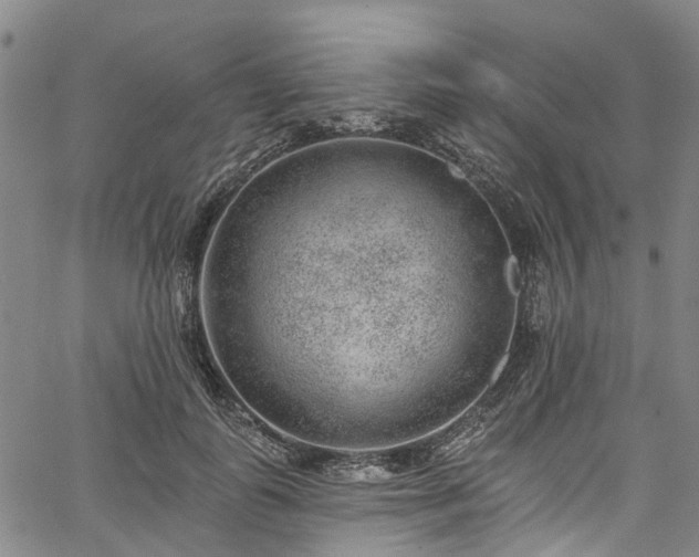 X0000067900747200604201334