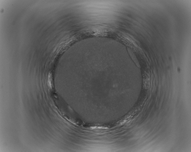 X0000067900748200604201334