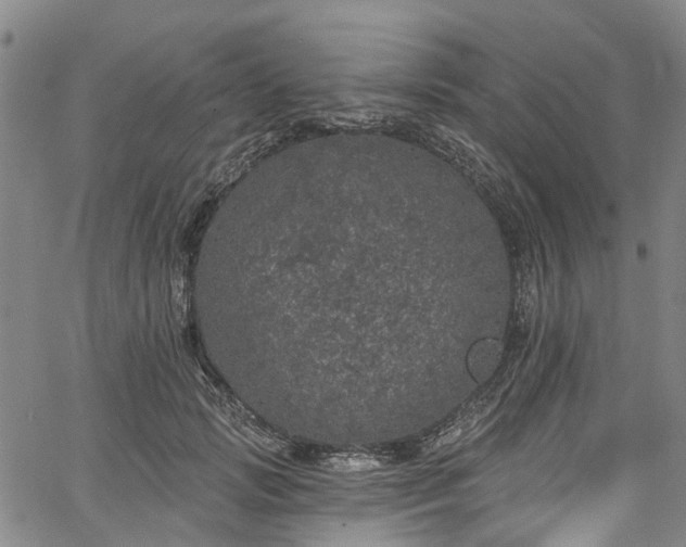 X0000067900749200604201334