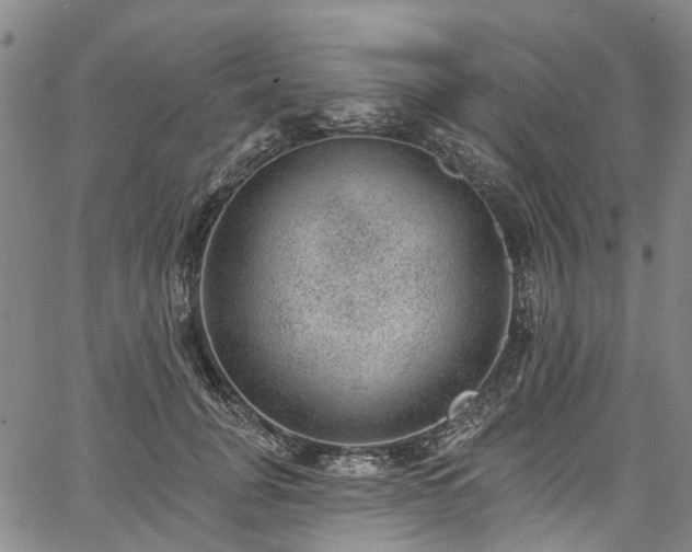 X0000067900751200604201334