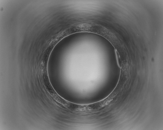 X0000067900752200604201334