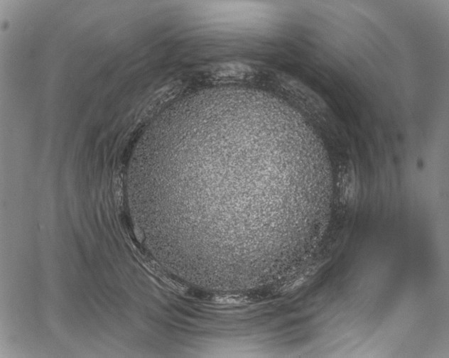 X0000067900753200604201334