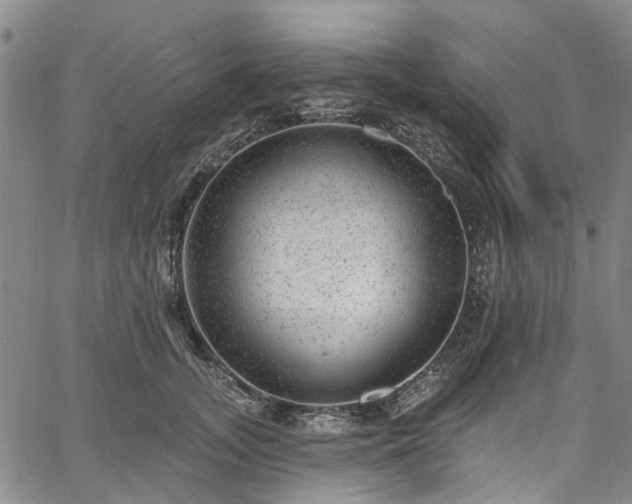 X0000067900755200604201334