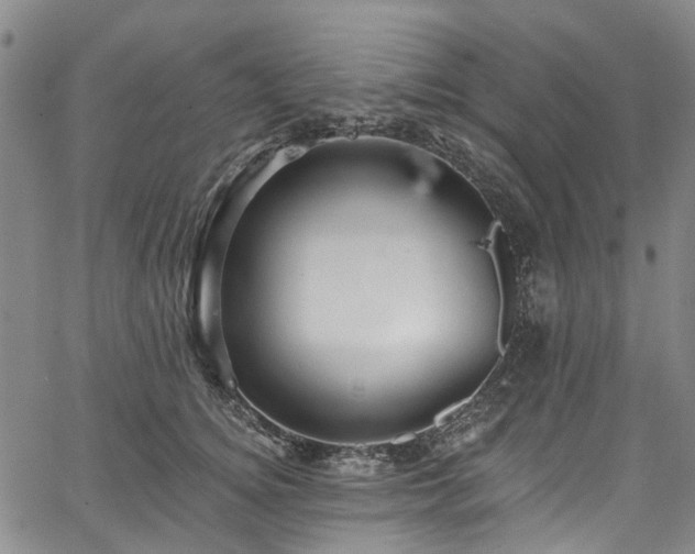 X0000067900756200604201334