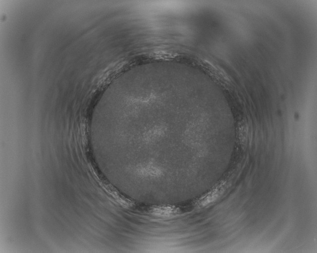 X0000067900757200604201334